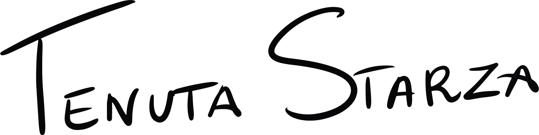 logo v3